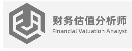 财务估值分析师 FINANCIAL VALUATION ANALYST