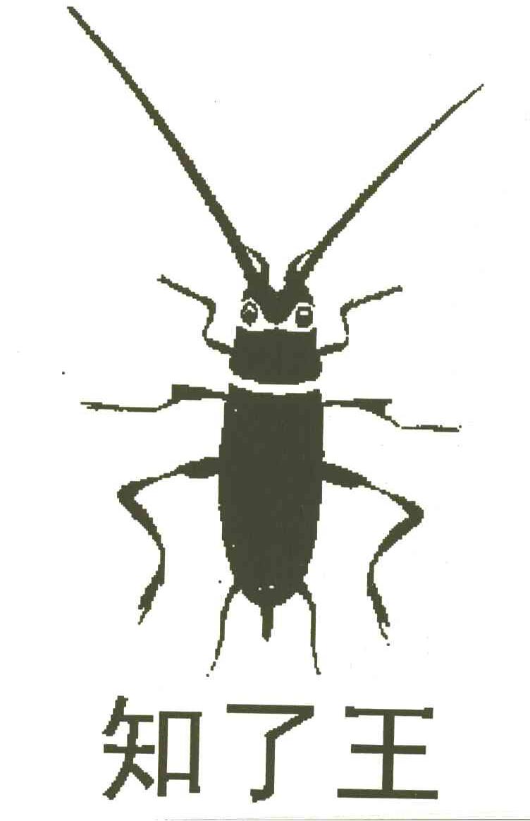 知了王
