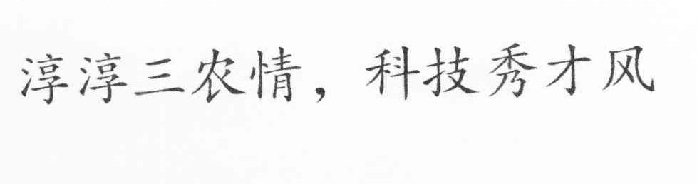 淳淳三农情科技秀才风