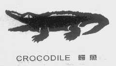 鳄鱼   CROCODILE