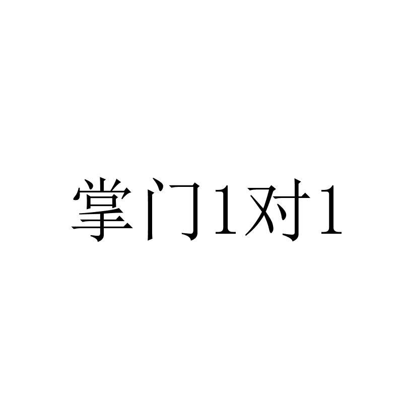 掌门1对1