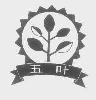 五叶