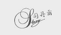 司丹尔   STARRY
