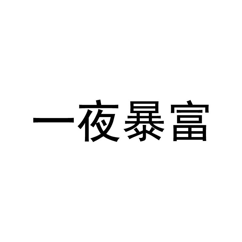 一夜暴富