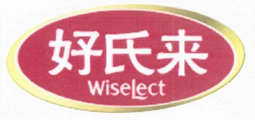 好氏来 WISELECT