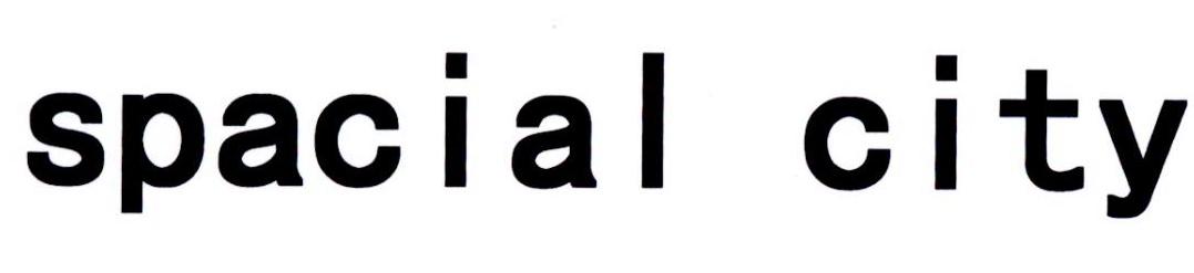 SPACIAL CITY
