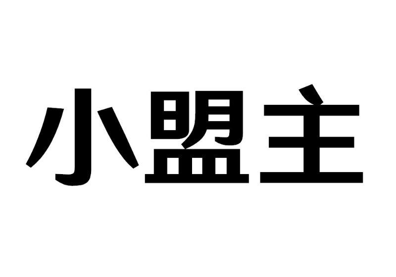 小盟主