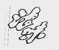 浪味