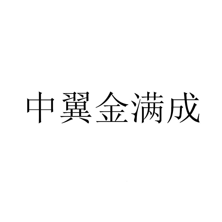 中翼金满成