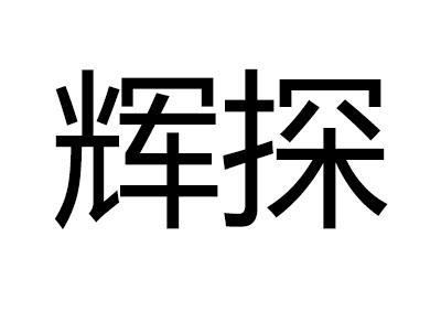 辉探