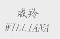 威羚   WILLIANA