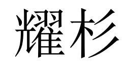 耀杉