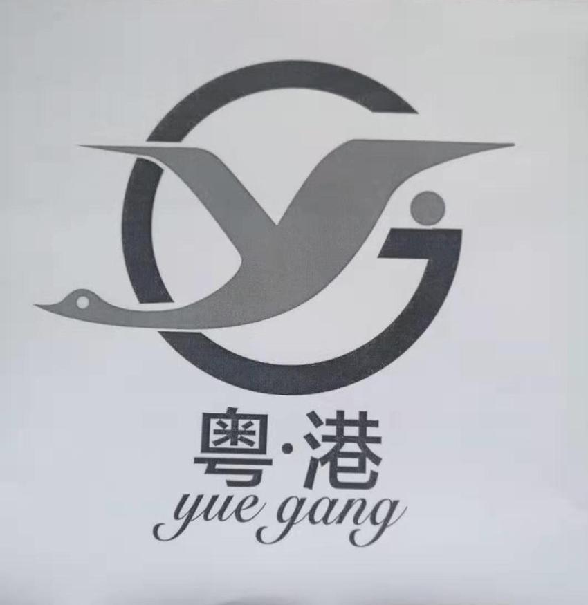粤&middot;港 YG