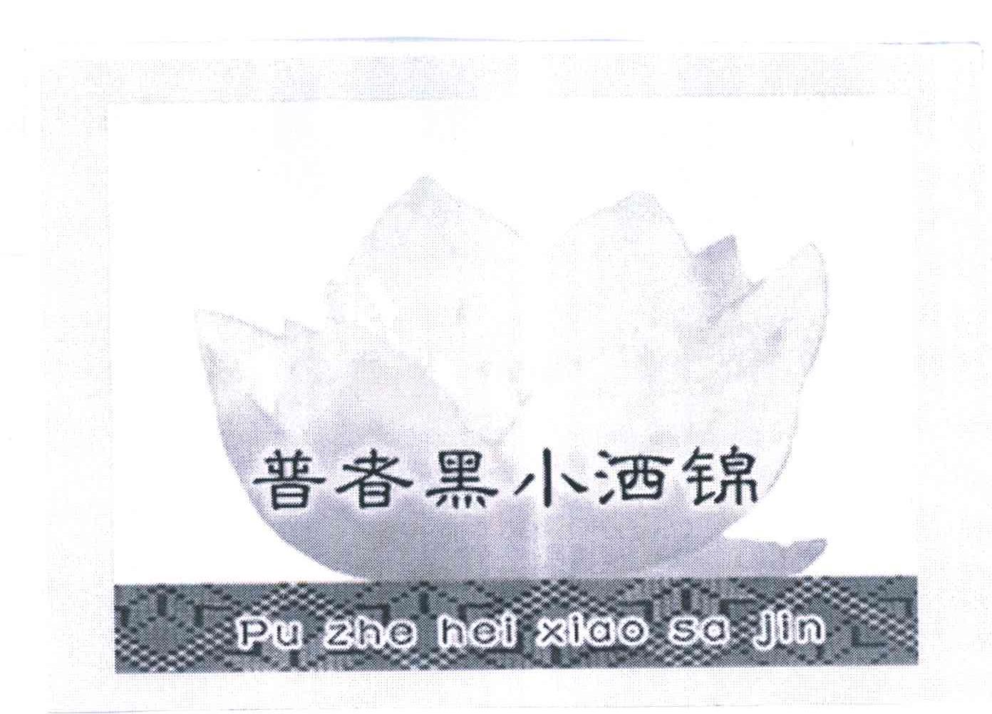 普者黑小洒锦