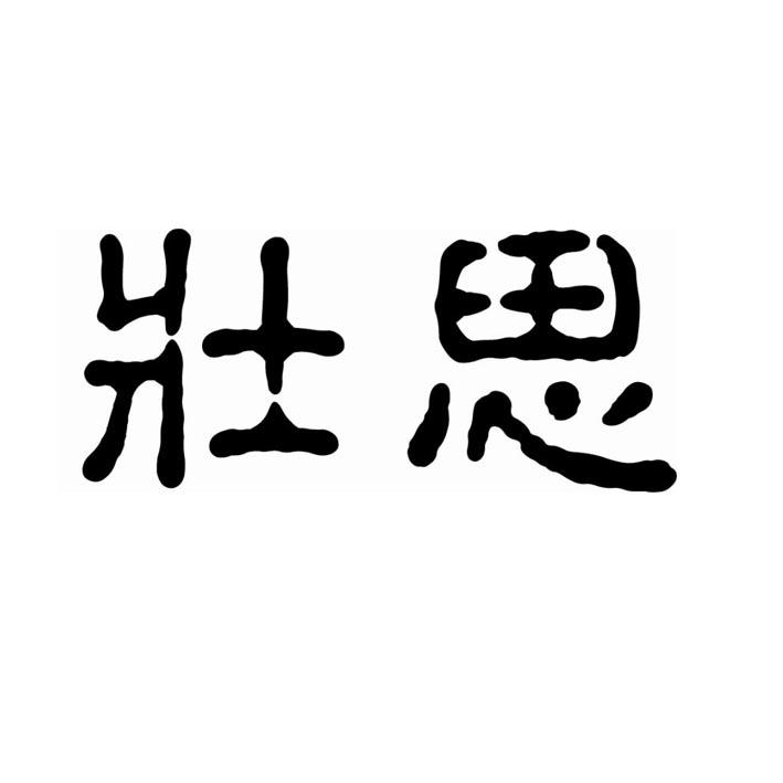 壮思