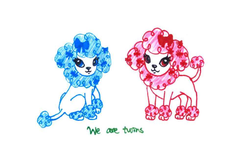 WE ARE TWINS