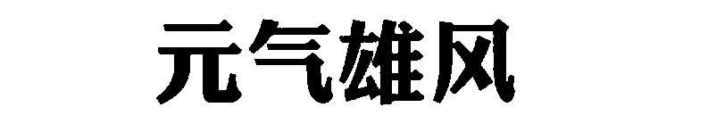 元气雄风