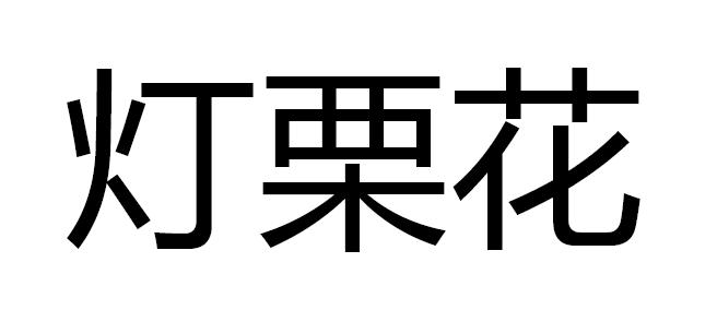 灯栗花