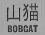 BOBCAT    山猫