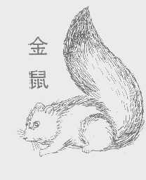 金鼠
