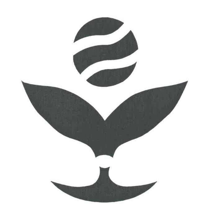 图形