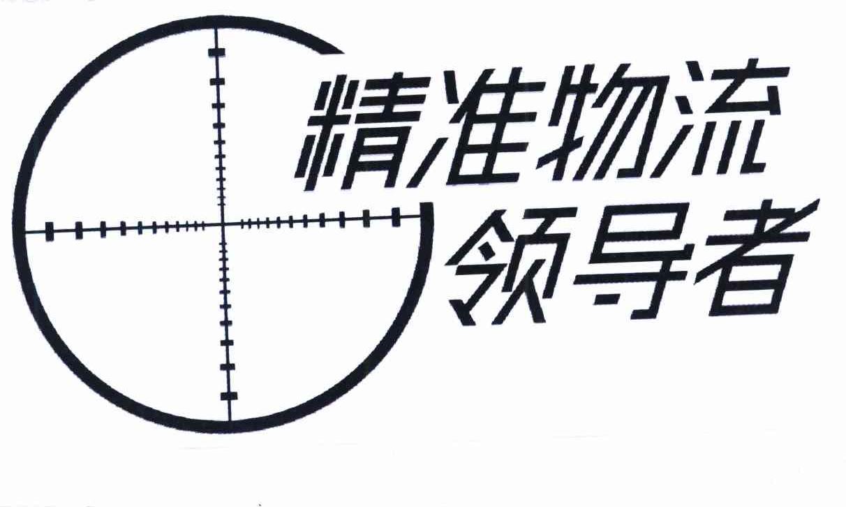 精准物流领导者