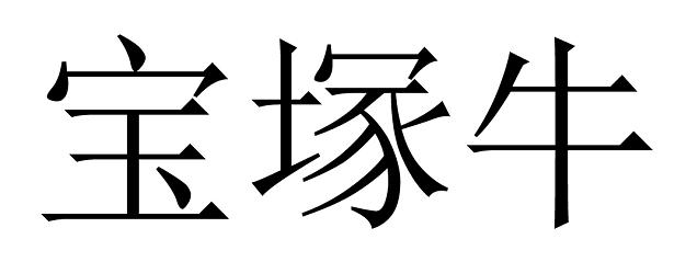 宝冢牛