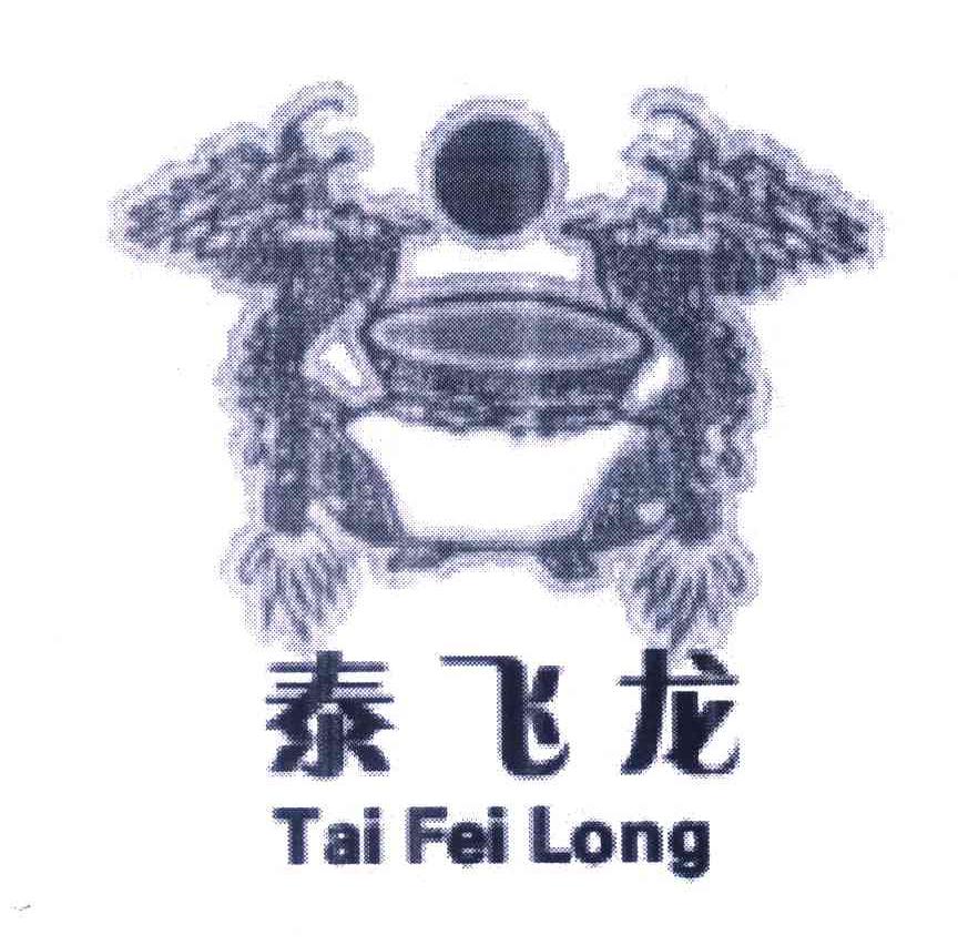泰飞龙