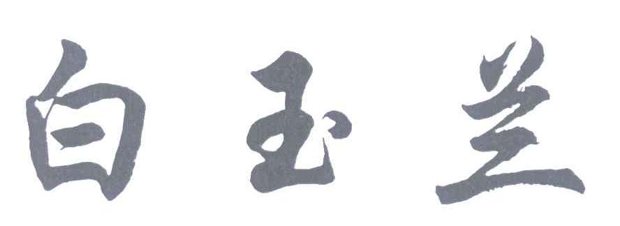 白玉兰
