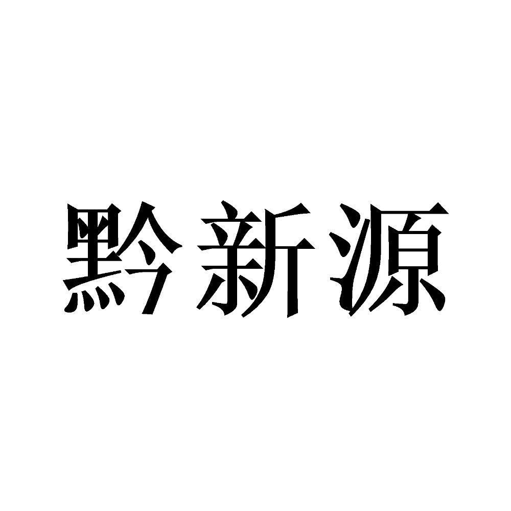 黔新源