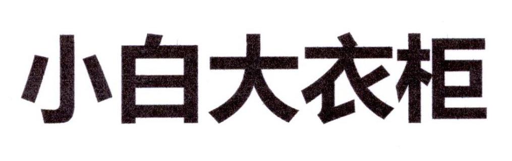 小白大衣柜