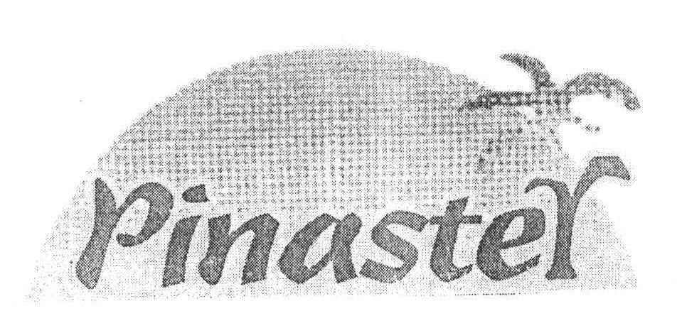PINASTER