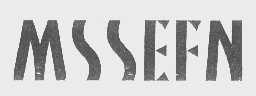 MSSEFN