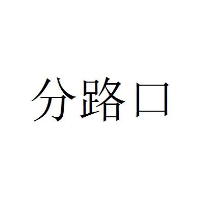 分路口