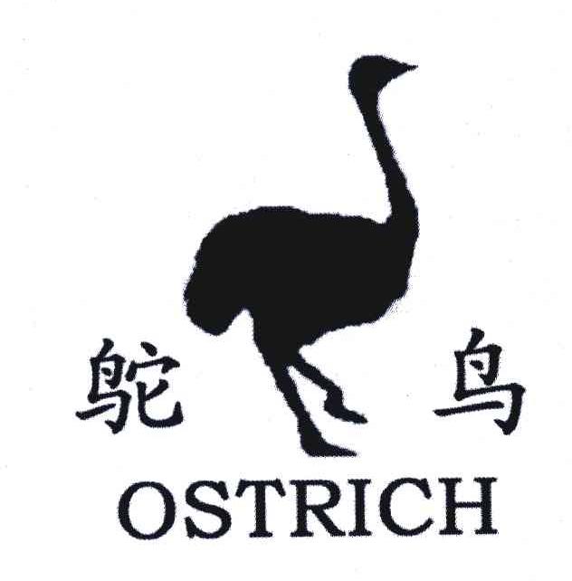 鸵鸟 OSTRICH