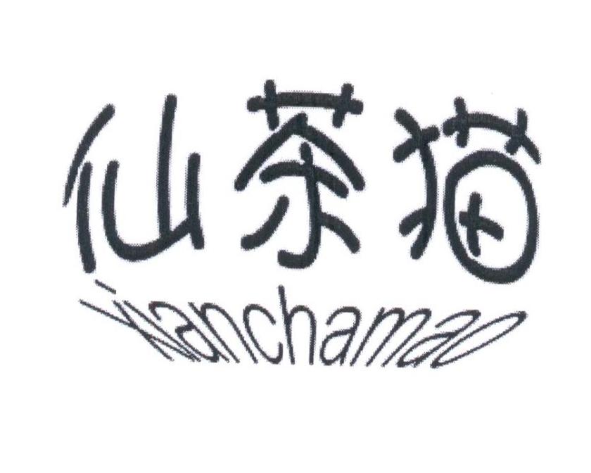 仙茶猫