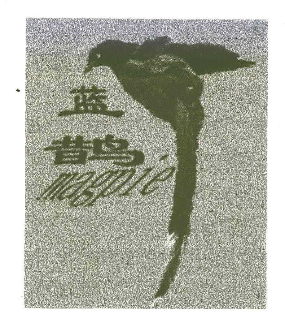 蓝鹊;MAGPIE