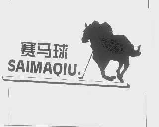 赛马球