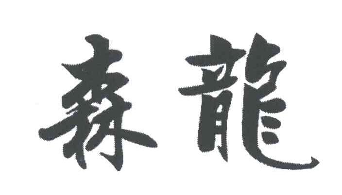 森龙