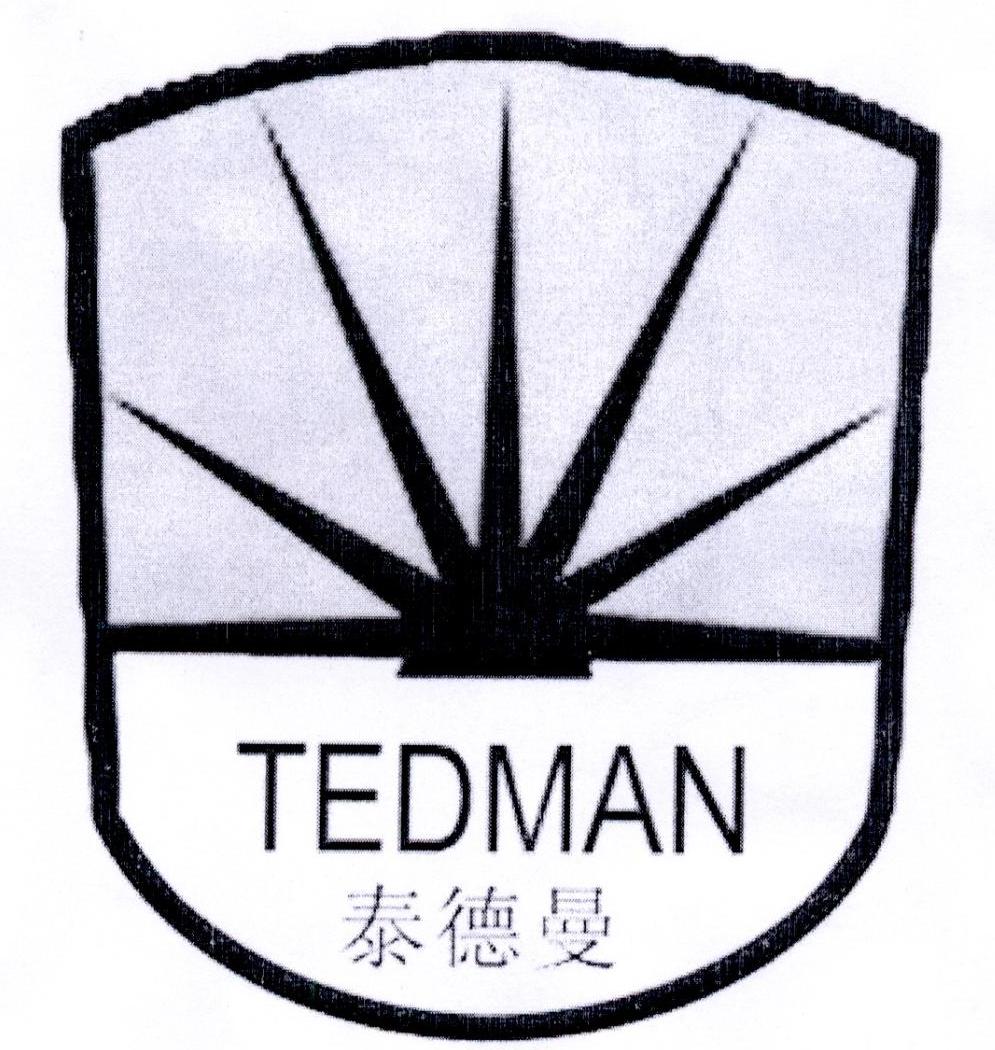 泰德曼 TEDMAN