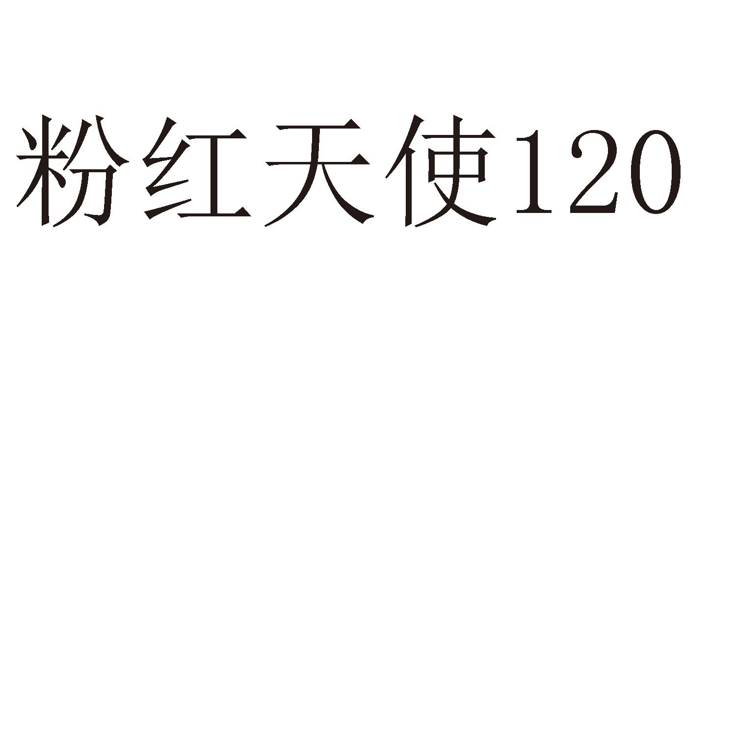 粉红天使 120