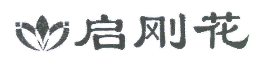 启刚花