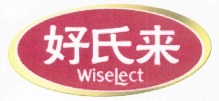 好氏来 WISELECT