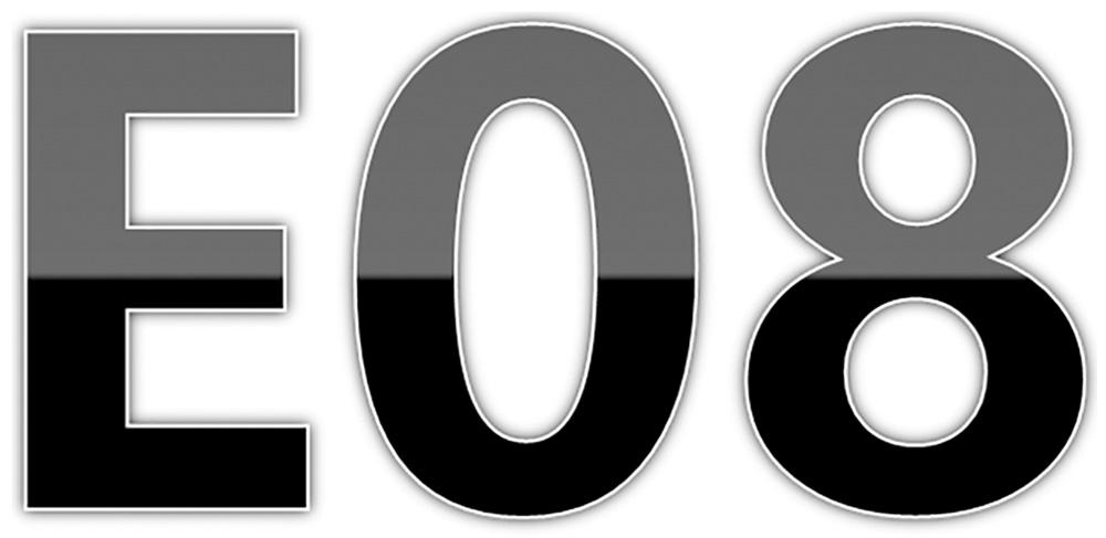 E 08