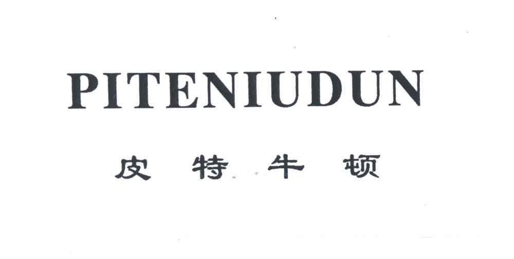皮特牛顿