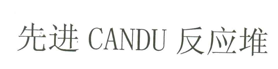 CANDU;先进反应堆