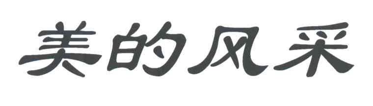 美的风采