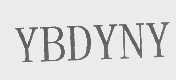 YBDYNY