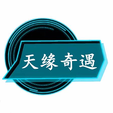天缘奇遇