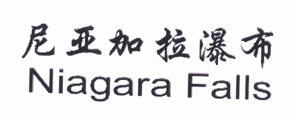 尼亚加拉瀑布 NIAGARA FALLS
